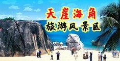 大鸡巴操女人的网站海南三亚-天崖海角旅游风景区